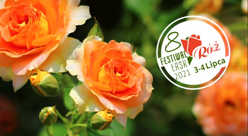 8. Festiwal Róż w Łasku – ruszyły przygotowania