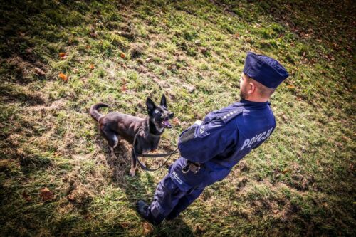 Jakie są obowiązki posiadania psa – policjanci przypominają