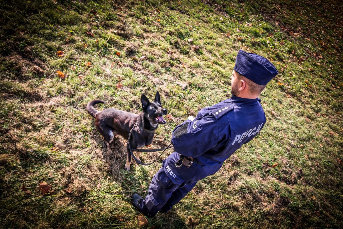 Jakie są obowiązki posiadania psa – policjanci przypominają