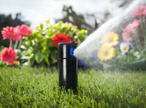 Automatyczne systemy nawadniania: Kluczowe narzędzie w oszczędzaniu wody w Twoim ogrodzie